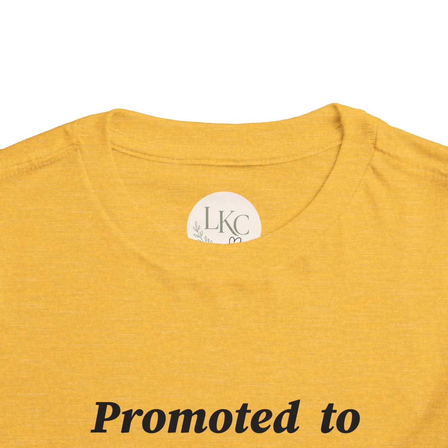 Promoted to Big Sister Toddler Tee — Pregnancy Announcement Shirt