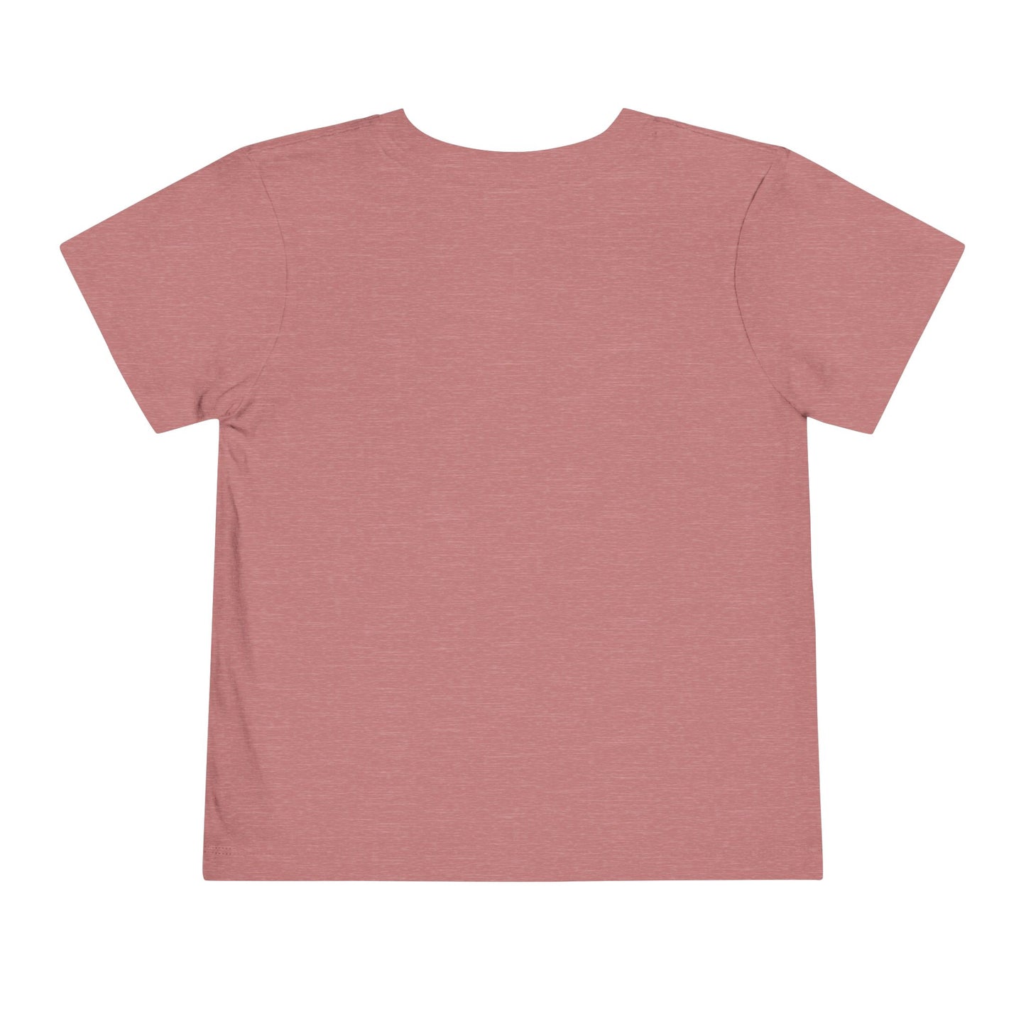 Promoted to Big Sister Toddler Tee — Pregnancy Announcement Shirt